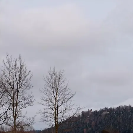شاليه Nad Potokiem *